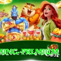 PKR Casino Gaming Premium